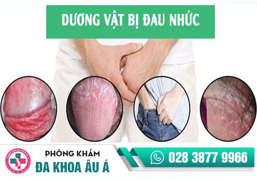 Đau buốt bao quy đầu nguy hiểm như thế nào?