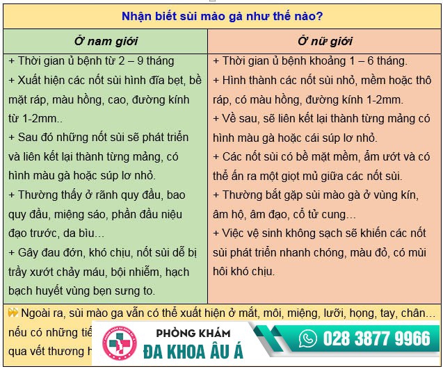 bệnh mồng gà