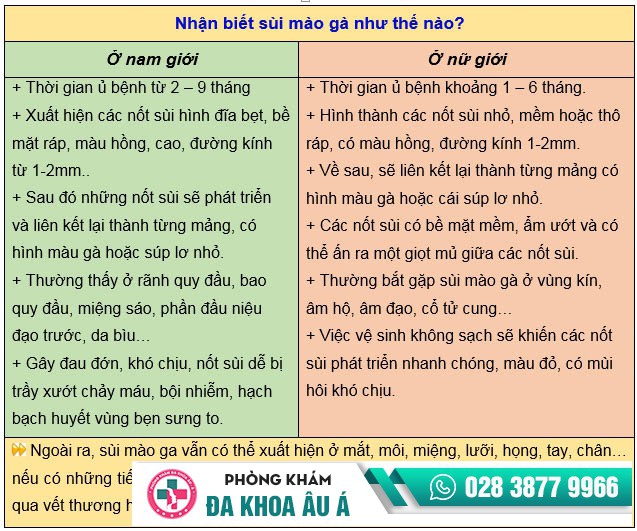 cách nhận biết sùi mào gà cách nhận biết sùi mào gà