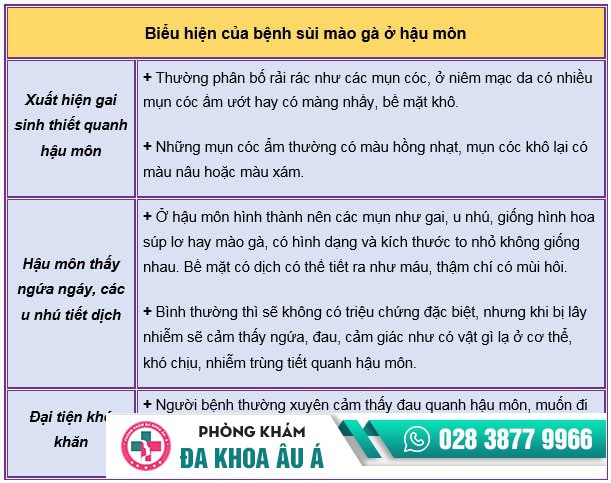 bệnh sùi mào gà ở hậu môn