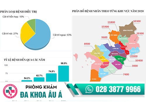 biểu đồ điều trị bệnh