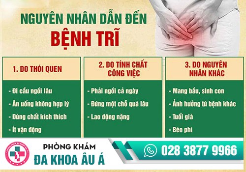 Nguyên nhân dẫn đến bệnh trĩ
