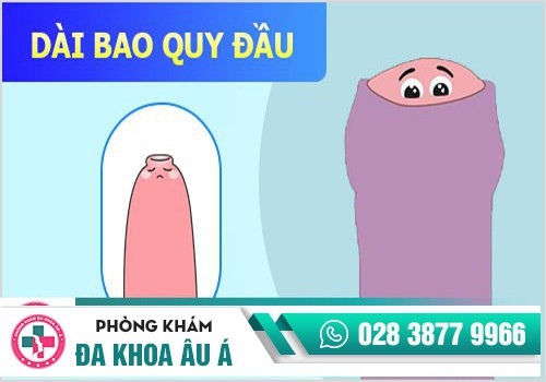 Hình ảnh dài bao quy đầu