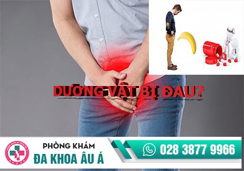 Đau dương vật là bị gì?