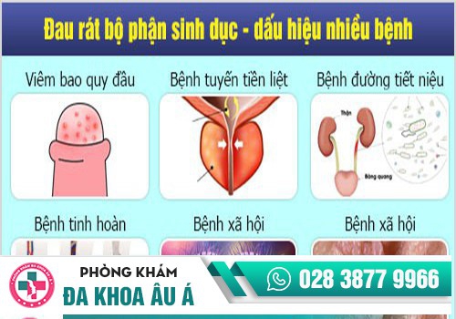 Đau rát bộ phận sinh dục - dấu hiệu nhiều bệnh nguy hiểm