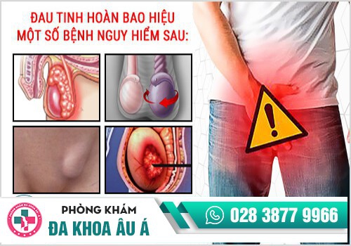 Đau tinh hoàn - dấu hiệu nhiều bệnh nguy hiểm