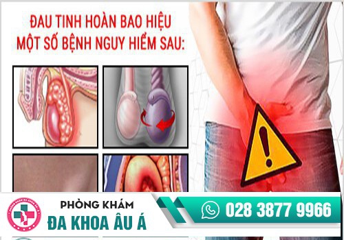 Nguyên nhân gây ra tình trạng đau thốn tinh hoàn