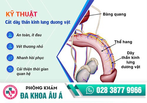 Điều trị dứt điểm xuất tinh sớm