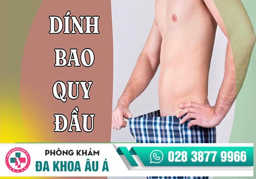Dính bao quy đầu là bệnh gì?