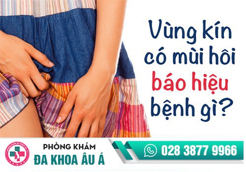 HIỆN TƯỢNG HÔI ÂM ĐẠO Ở NỮ GIỚI LÀ DẤU HIỆU CỦA BỆNH GÌ?