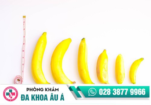 Kích thước dương vật