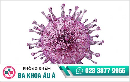 mụn rộp sinh dục nữ mụn rộp sinh dục nữ