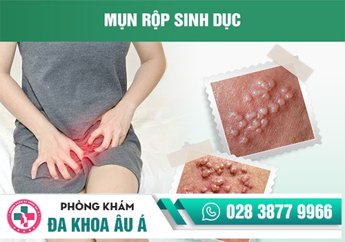 NGỨA VÙNG KÍN LÀ BỊ BỆNH GÌ?