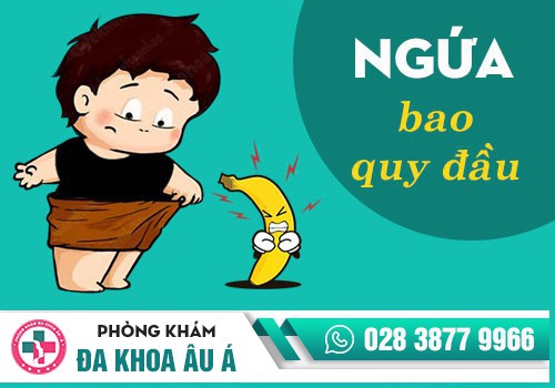 NGUYÊN NHÂN GÂY NGỨA BAO QUY ĐẦU Ở NAM GIỚI