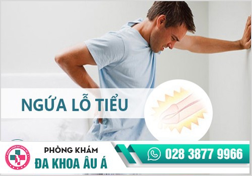 Nguyên nhân ngứa lỗ tiểu, ngứa ống dẫn đường tiểu