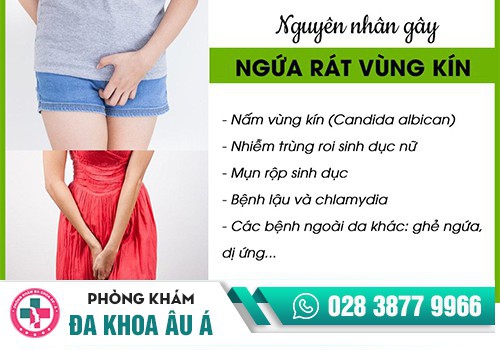 Vùng kín bị ngứa và nổi hạt là bị gì?