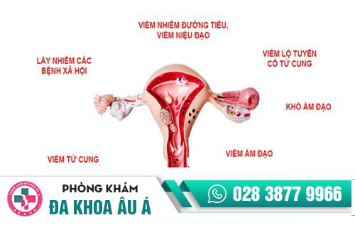 Vùng kín bị ngứa và nổi hạt là bị gì?