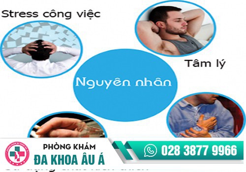 DƯƠNG VẬT KHÔNG CƯƠNG CỨNG 