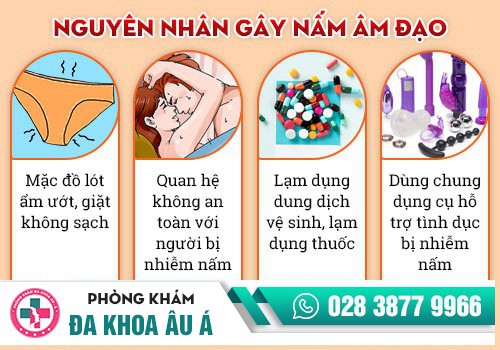 BỆNH NẤM ÂM ĐẠO LÀ GÌ?