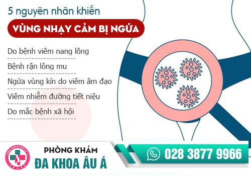 BỊ NGỨA PHỤ KHOA 