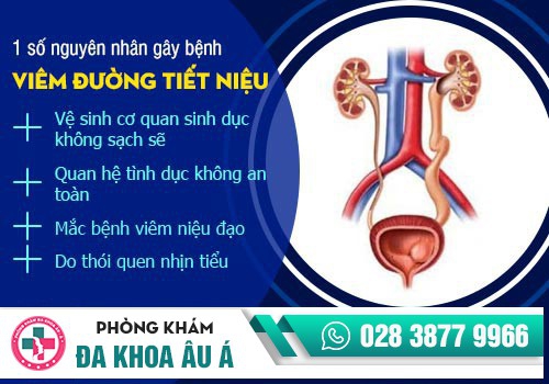 Nguyên nhân viêm đường tiết niệu là gì?