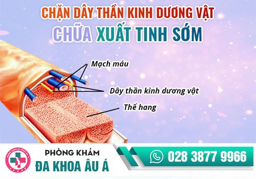 DẤU HIỆU XUẤT TINH SỚM Ở NAM