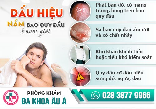 Bợn trắng bao quy đầu do nấm