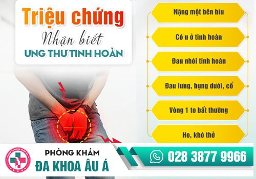 Ung thư tinh hoàn dẫn đến tình trạng đau nhức tinh hoàn