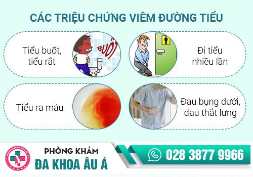 5 BỆNH PHỤ KHOA MÀ NỮ GIỚI HAY MẮC PHẢI