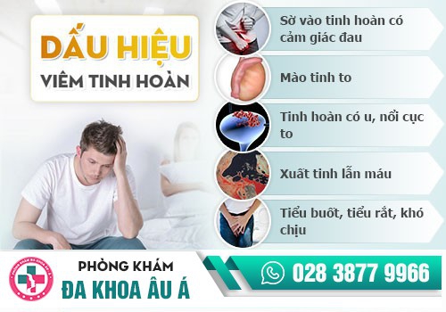 Biểu hiện viêm tinh hoàn