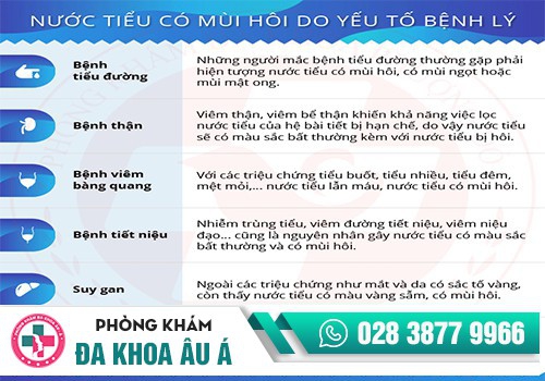Nguyên nhân nước tiểu có mùi hôi do bệnh lý