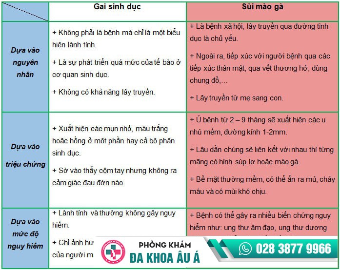 Gai sinh dục và cách hỗ trợ điều trị bệnh gai sinh dục hiệu quả