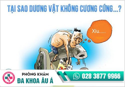 DƯƠNG VẬT KHÔNG CƯƠNG CỨNG LÀ DO NGUYÊN NHÂN NÀO