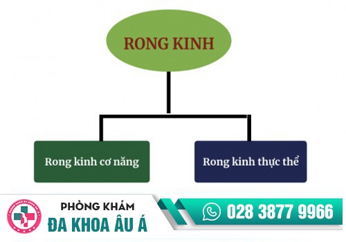 RONG KINH LÀ GÌ? 