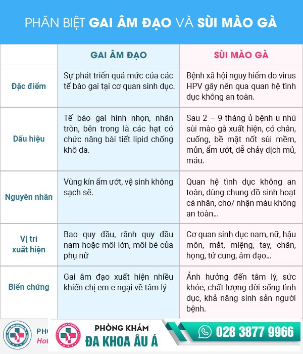 Gai âm đạo là gì? Phân biệt gai âm đạo và sùi mào gà