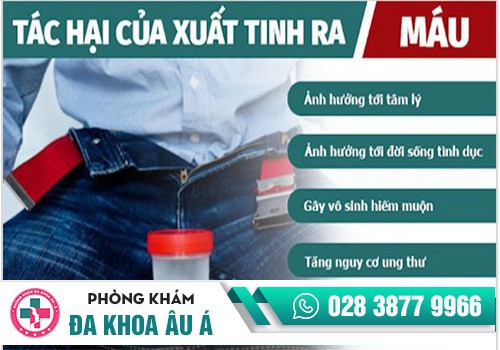 Xuất tinh ra máu có thể dẫn đến nguy cơ vô sinh ở nam giới