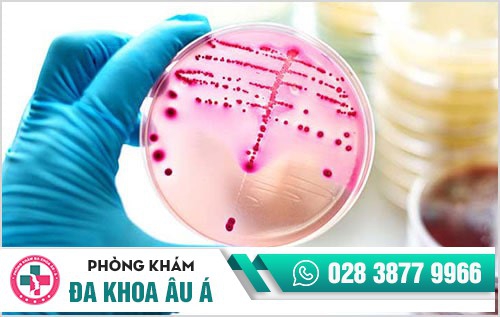 thời gian ủ bệnh lậu