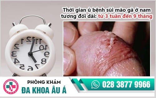 Thời gian ủ bệnh sùi mào gà