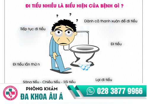 TIỂU NHIỀU Ở NỮ GIỚI TRIỆU CHỨNG BỆNH GÌ?
