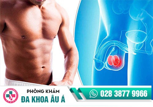 Sưng đau tinh hoàn có sao không?