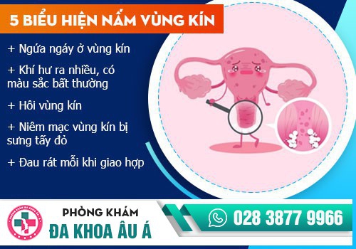 BỆNH NẤM ÂM ĐẠO LÀ GÌ?