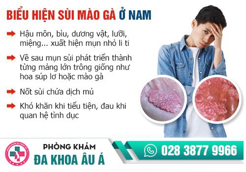 Dương vât nổi mụn là bị bệnh gì?