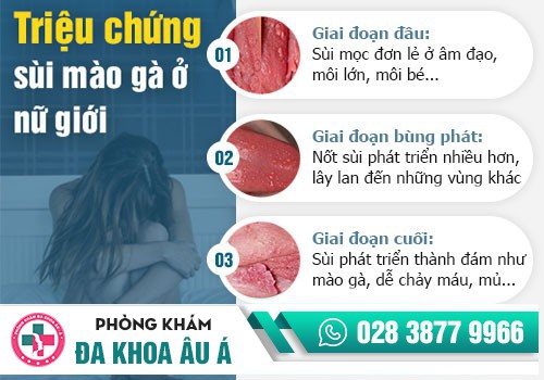 NGỨA VÙNG KÍN LÀ BỊ BỆNH GÌ?
