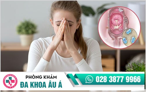 Vùng kín chảy mủ