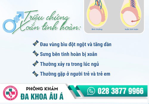 Xoắn tinh hoàn khiến nam giới bị sưng tinh hoàn 1 bên
