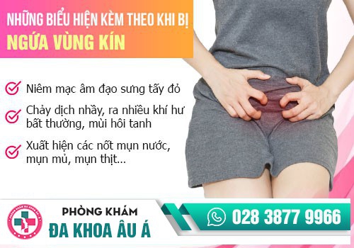 Nguyên nhân bị ngứa 2 bên mép vùng kín