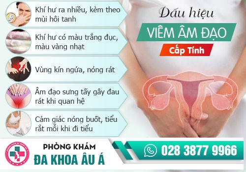 Huyết trắng màu nâu là bị gì?