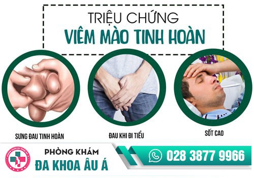 Triệu chứng viêm mào tinh hoàn